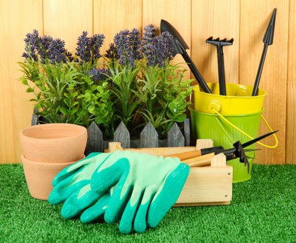Brixton gardeners designing a vibrant urban garden